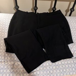 Women’s dress pants